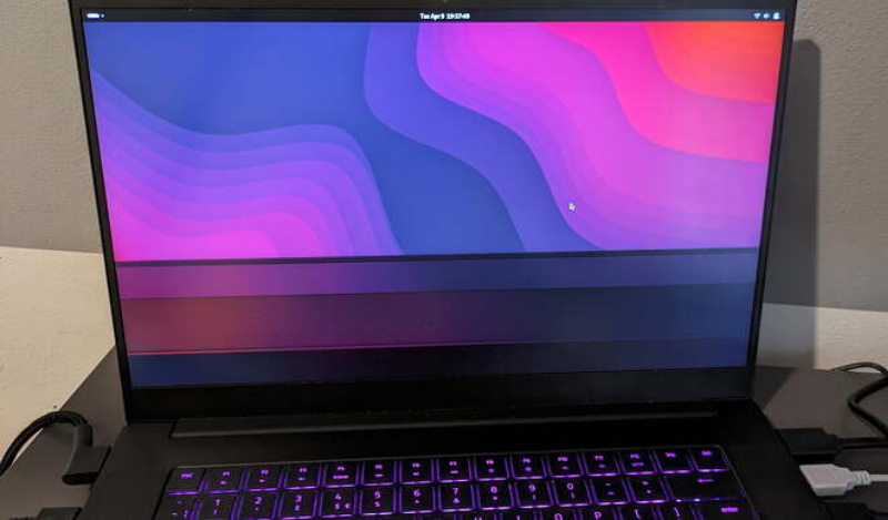 Laptop screen have lines